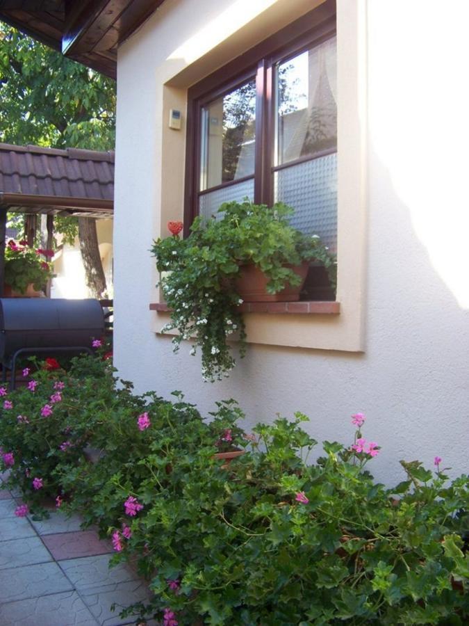 Pensiunea Casa Alba Ghimbav Εξωτερικό φωτογραφία